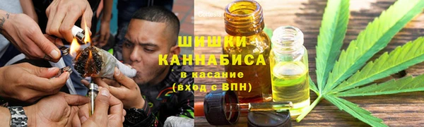 гидропоника Нязепетровск