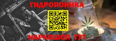 прущие грибы Первоуральск