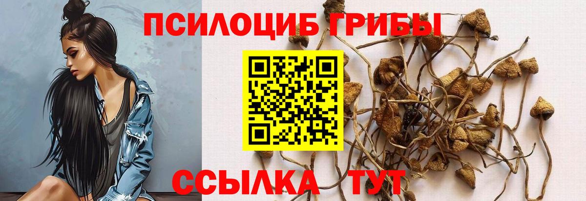 Псилоцибиновые грибы прущие грибы Югорск